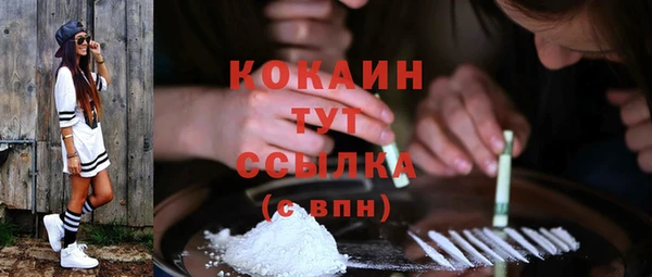 мдпв Дмитровск
