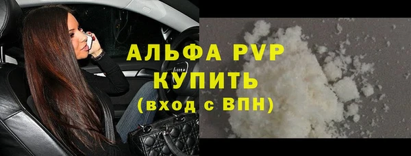 сатива Гусь-Хрустальный