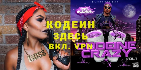 сатива Гусь-Хрустальный