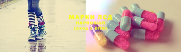 ECSTASY Куртамыш