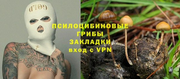 прущие крисы Медногорск