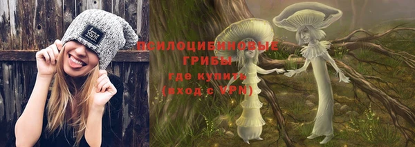 первитин Дмитриев