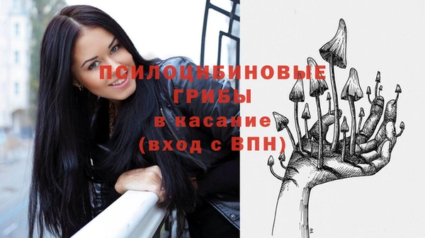 стафф Гусиноозёрск