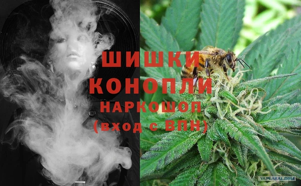 стафф Гусиноозёрск