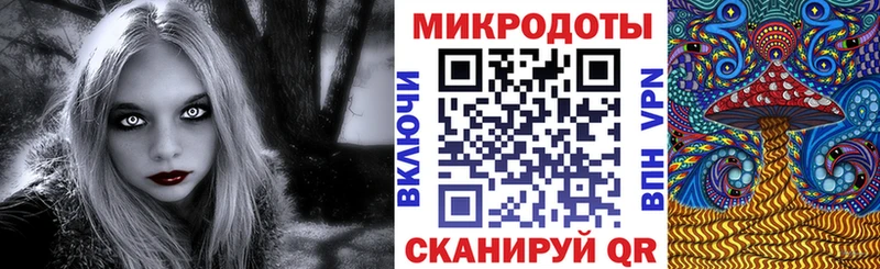 Галлюциногенные грибы Cubensis  хочу   мега зеркало  Минеральные Воды 