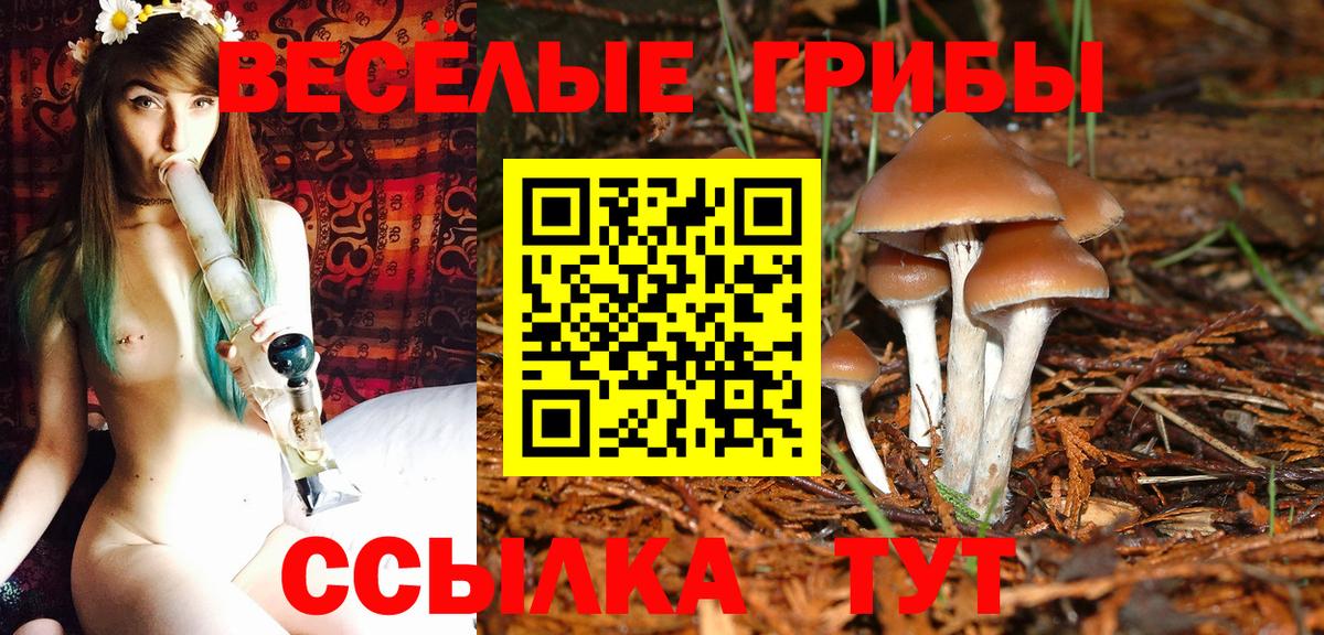 Минеральные Воды  Галлюциногенные грибы Psilocybine cubensis  Вход с VPN  Галлюциногенные грибы MAGIC MUSHROOMS 