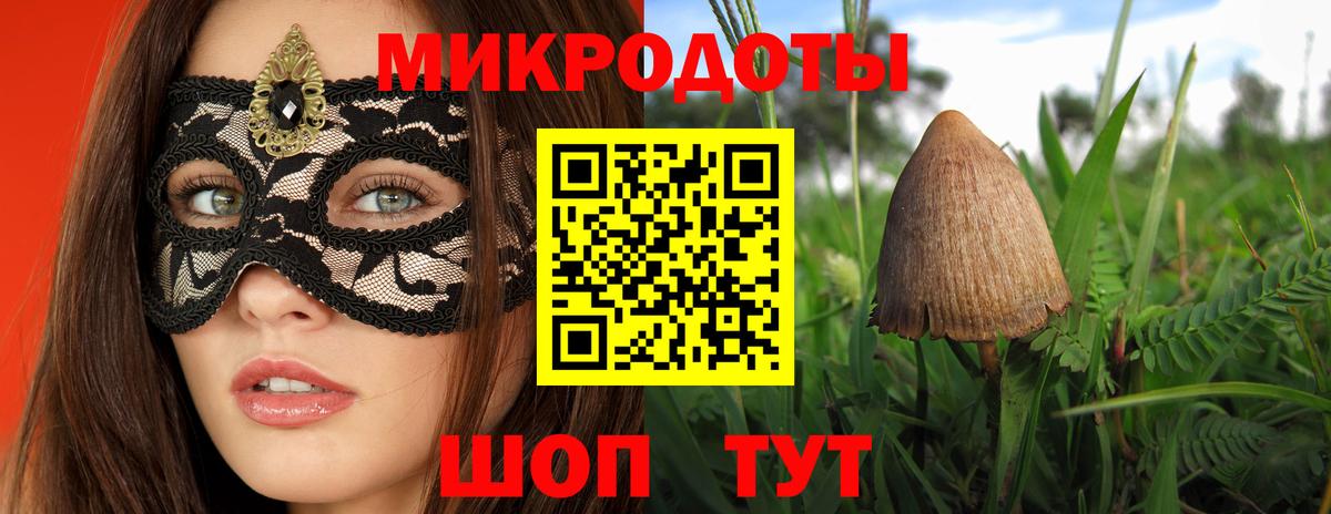 Галлюциногенные грибы мухоморы Минеральные Воды